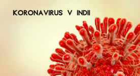 Jak bojuje s koronavirovou pandemií Indie?