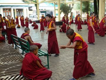 Namgyal Tantric College- Dharamsala