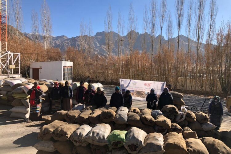 Ladakh – Exile Camps in Chocklamsar