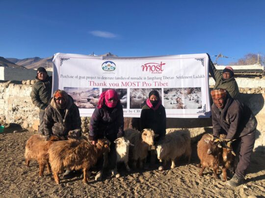 Donation report 2023 – ProTibet Goat