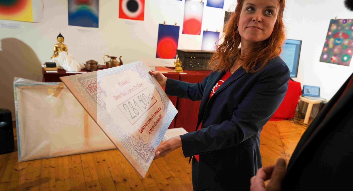 Benefiční aukce uspěla