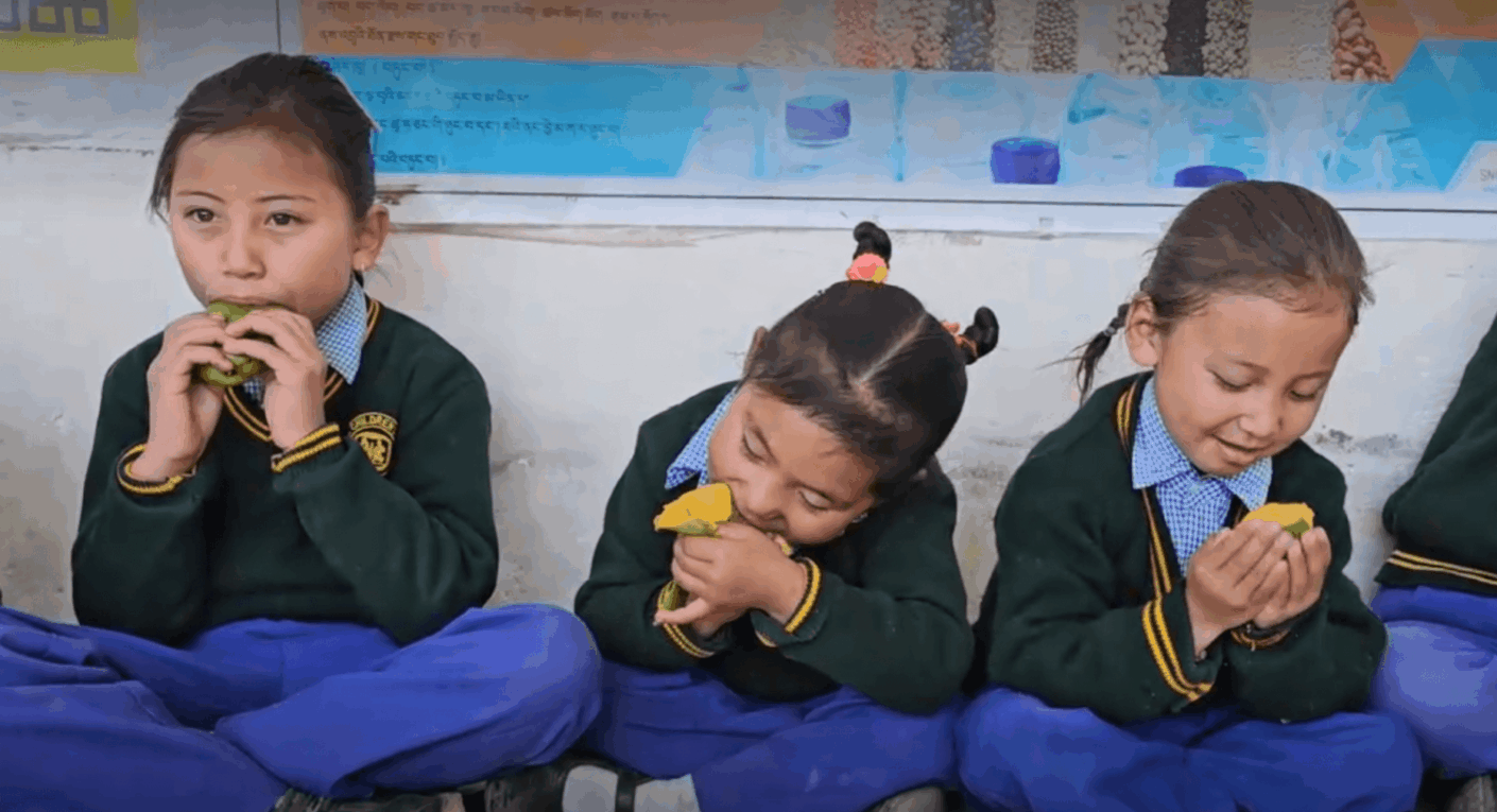 Výživa – Co se povedlo 2024!