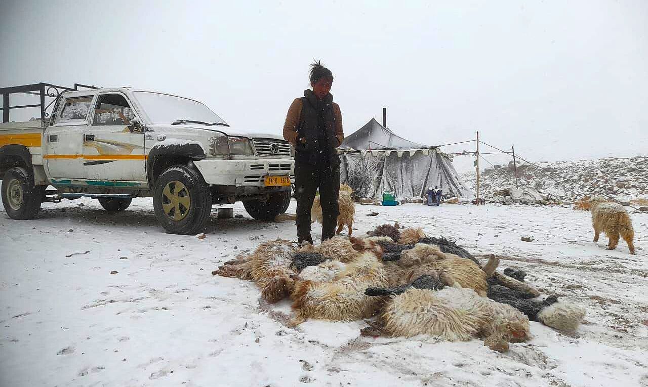 SOS výzva pro nomády