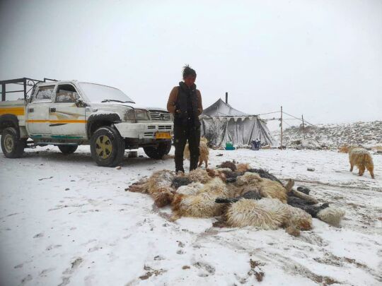 SOS challenge for nomads