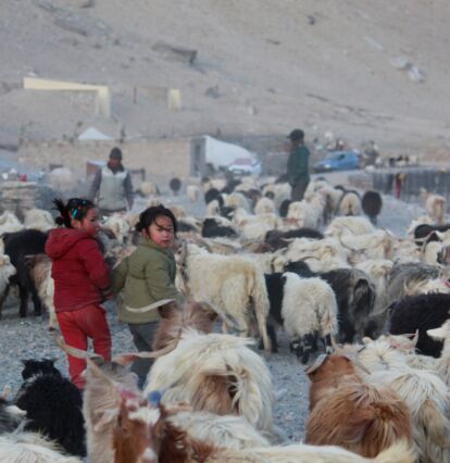 Škola – Co se povedlo 2024