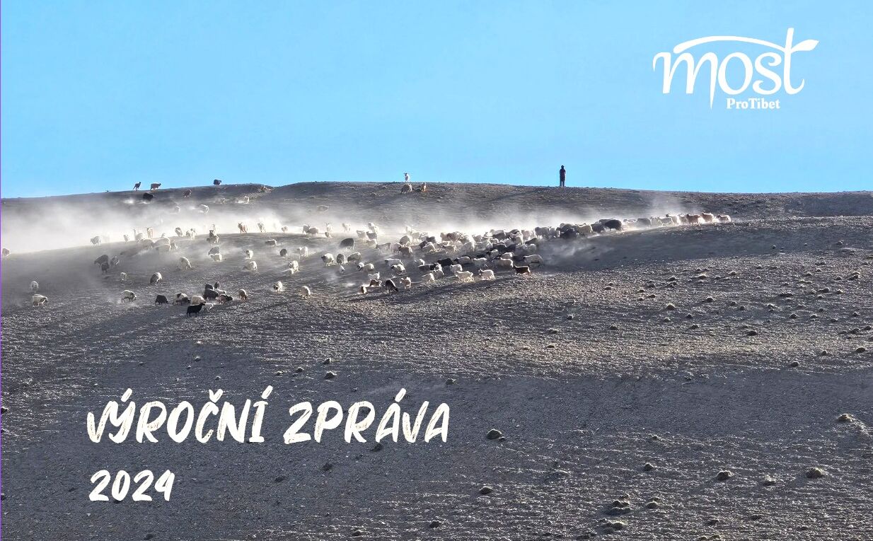 Výroční zpráva 2024