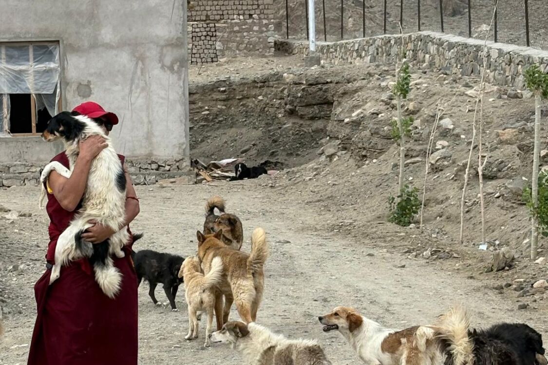 Chamba Animal Care Center