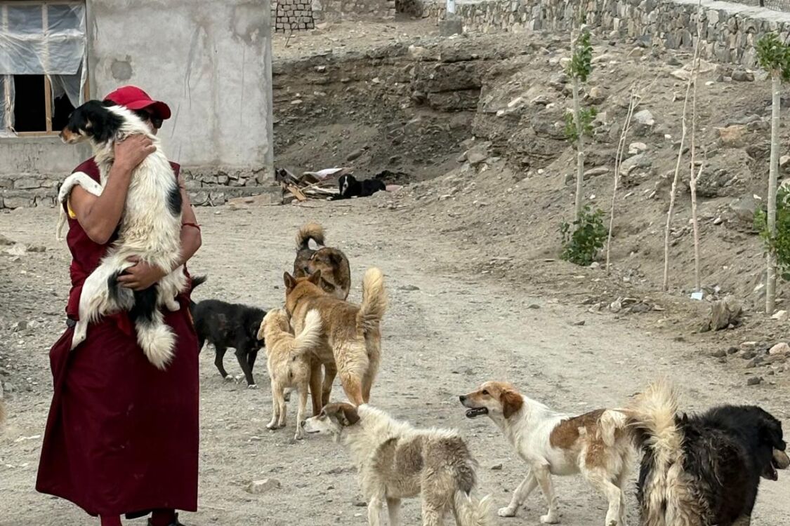 Chamba Animal Care Center